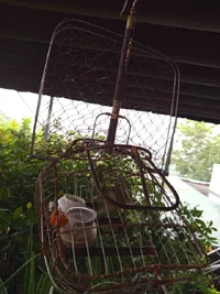 1000001861.webp