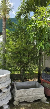 1000017305.webp