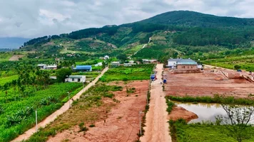 GIỮA THUNG LŨNG THÔNG XANH – MẢNH ĐẤT 2 MẶT TIỀN DÀNH CHO NHỮNG AI YÊU THIÊN NHIÊN 309M2 GIÁ ...webp