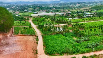 GIỮA THUNG LŨNG THÔNG XANH – MẢNH ĐẤT 2 MẶT TIỀN DÀNH CHO NHỮNG AI YÊU THIÊN NHIÊN 309M2 GIÁ ...webp