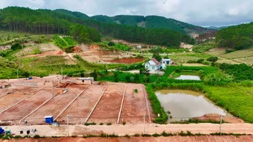 MẢNH ĐẤT GIỮA ĐỒI THÔNG XANH – SẴN SÀNG CHO MỘT NHÀ VƯỜN NGHỈ DƯỠNG VEN ĐÀ LẠT (1).webp