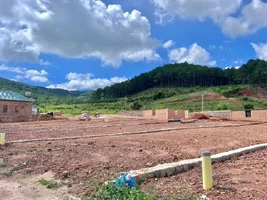 MẢNH ĐẤT GIỮA ĐỒI THÔNG XANH – SẴN SÀNG CHO MỘT NHÀ VƯỜN NGHỈ DƯỠNG VEN ĐÀ LẠT (2).webp
