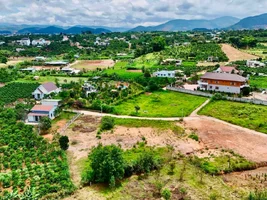 ĐẤT VEN ĐÀ LẠT NỞ HẬU – KHÔNG GIAN YÊN TĨNH PHÙ HỢP LÀM NHÀ VƯỜN NGHỈ DƯỠNG (4).webp