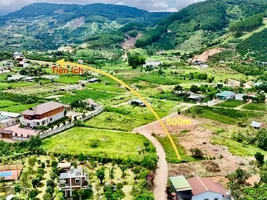 ĐẤT VEN ĐÀ LẠT NỞ HẬU – KHÔNG GIAN YÊN TĨNH PHÙ HỢP LÀM NHÀ VƯỜN NGHỈ DƯỠNG (5).webp