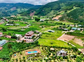 ĐẤT VEN ĐÀ LẠT NỞ HẬU – KHÔNG GIAN YÊN TĨNH PHÙ HỢP LÀM NHÀ VƯỜN NGHỈ DƯỠNG (6).webp