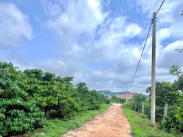 Khi Mỗi Khung Cửa Đều Mở Ra Cả Một Vùng Núi Xanh – Giá Trị Của Đất Ven Đà Lạt Không Chỉ Nằm Ở...webp