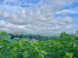 ĐẤT VEN ĐÀ LẠT 3.677M² VIEW ĐẸP  KHÔNG GIAN XANH RỘNG LỚN, PHÙ HỢP NHÀ VƯỜN VÀ NGHỈ DƯỠNG (4).webp