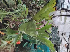 1000000761.webp