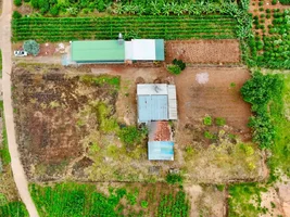 QUỸ ĐẤT VEN ĐÀ LẠT 3.276M² – MẶT TIỀN 41M, KHÔNG GIAN SỐNG RỘNG MỞ (1).webp