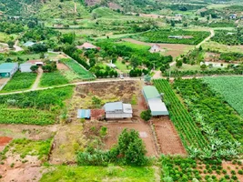 QUỸ ĐẤT VEN ĐÀ LẠT 3.276M² – MẶT TIỀN 41M, KHÔNG GIAN SỐNG RỘNG MỞ (2).webp