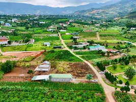 QUỸ ĐẤT VEN ĐÀ LẠT 3.276M² – MẶT TIỀN 41M, KHÔNG GIAN SỐNG RỘNG MỞ (3).webp