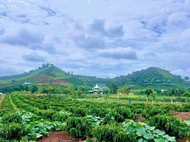 Đất 1.001m² View Thoáng Tựa Núi, Bám Trục Đường Liên Thông Tại Nam Hà (1).webp