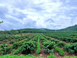 Đất 1.001m² View Thoáng Tựa Núi, Bám Trục Đường Liên Thông Tại Nam Hà (2).webp