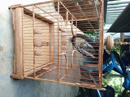 1000002008.webp