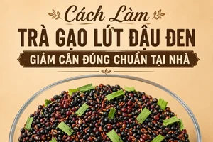 cach-lam-tra-gao-lut-dau-den-giam-can-1200x800.webp
