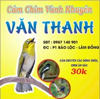 1000026388.webp