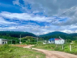 ĐẤT VEN ĐÀ LẠT 2 MẶT TIỀN – 85M² THỔ CƯ, KHU DÂN CƯ NGHỈ DƯỠNG HIỆN HỮU (3).webp