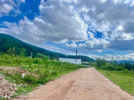 ĐẤT VEN ĐÀ LẠT 2 MẶT TIỀN – 85M² THỔ CƯ, KHU DÂN CƯ NGHỈ DƯỠNG HIỆN HỮU (4).webp