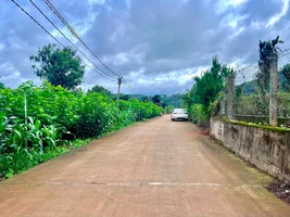 QUỸ ĐẤT VEN ĐÀ LẠT 520M² – MẶT TIỀN 14M NỞ HẬU, CÁCH ĐƯỜNG NHỰA CHỈ VÀI BƯỚC CHÂN (4).webp