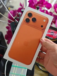 1784365106487.webp