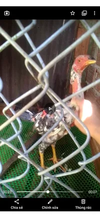 Screenshot_20260720-124223.webp