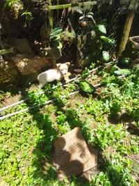 IMG_20260721_122356.webp