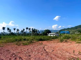 ĐẤT VEN ĐÀ LẠT 2 MẶT TIỀN GIỮA ĐỒI THÔNG XANH, PHÙ HỢP NHÀ VƯỜN VÀ NGHỈ DƯỠNG (4).webp