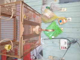 1000004237.webp