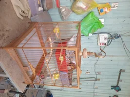 1000004236.webp