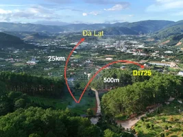 SÁT RỪNG THÔNG VEN ĐÀ LẠT – QUỸ ĐẤT 1.000M² HIẾM GẶP GIỮA KHÔNG GIAN NGHỈ DƯỠNG (3).webp