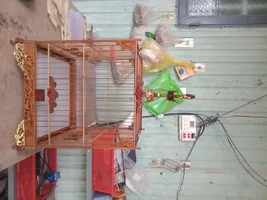 1000004261.webp