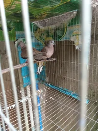 1000016065.webp