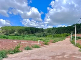 MẢNH ĐẤT GIỮA ĐỒI THÔNG XANH – SẴN SÀNG CHO MỘT NHÀ VƯỜN NGHỈ DƯỠNG VEN ĐÀ LẠT (5).webp