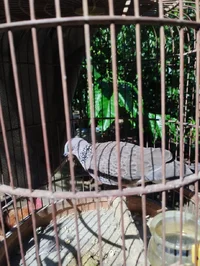 1000007028.webp