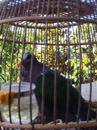1000007138.webp