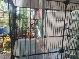 20260803_070816.webp
