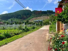 QUỸ ĐẤT HIẾM GIỮA THÔNG XANH KHU BIỆT THỰ GIA LÂM – 501M² CHỈ 1,5 TỶ (1).webp