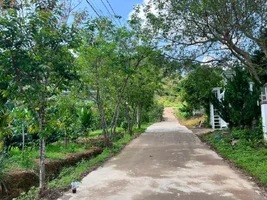 QUỸ ĐẤT HIẾM GIỮA THÔNG XANH KHU BIỆT THỰ GIA LÂM – 501M² CHỈ 1,5 TỶ (2).webp