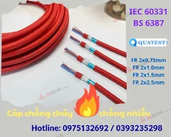 1845a21a-5f3c-4065-9812-6daf7b82b56c.webp