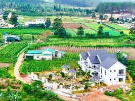 BIỆT THỰ SÂN VƯỜN VEN ĐÀ LẠT – MỘT KHOẢNG SỐNG ĐỦ ĐẸP ĐỂ MỖI NGÀY ĐỀU NHƯ KỲ NGHỈ (3).webp