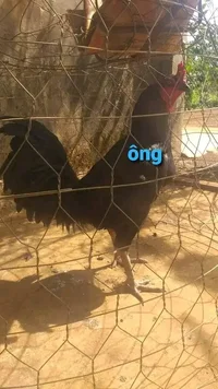 1000059786.webp