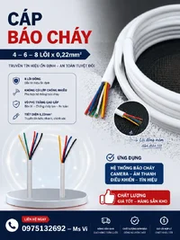 1e7452ff-3b18-4393-8f10-ebe10bced9a0.webp