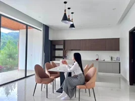 NGÔI NHÀ GIỮA VÙNG THÔNG NAM BAN, TÁCH KHỎI NHỊP SỐNG VỘI VÃ (9).webp