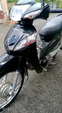 1000009257.webp