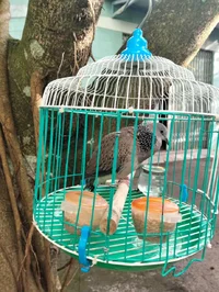 1000001157.webp