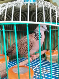 1000001026.webp