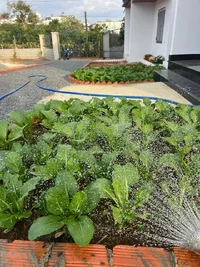IMG_6547.webp