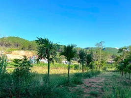 ĐẤT VEN ĐÀ LẠT 2 MẶT TIỀN GIỮA ĐỒI THÔNG XANH, PHÙ HỢP NHÀ VƯỜN VÀ NGHỈ DƯỠNG (1).webp