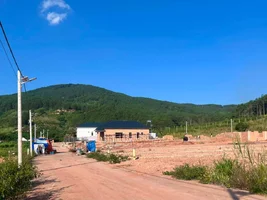 ĐẤT VEN ĐÀ LẠT 2 MẶT TIỀN GIỮA ĐỒI THÔNG XANH, PHÙ HỢP NHÀ VƯỜN VÀ NGHỈ DƯỠNG (2).webp