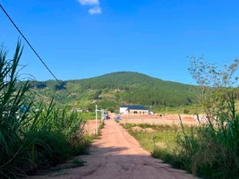 ĐẤT VEN ĐÀ LẠT 2 MẶT TIỀN GIỮA ĐỒI THÔNG XANH, PHÙ HỢP NHÀ VƯỜN VÀ NGHỈ DƯỠNG (3).webp